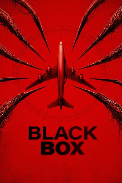 Black Box (Flight 298)