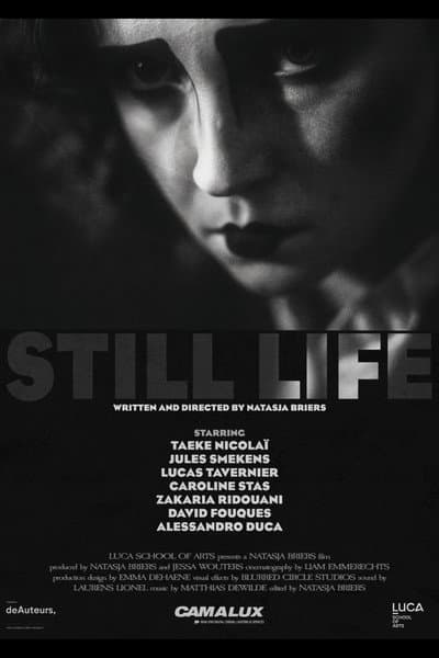 Still Life