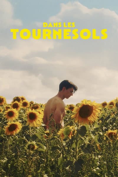 Dans les tournesols