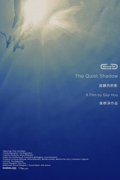 寂静的阴影