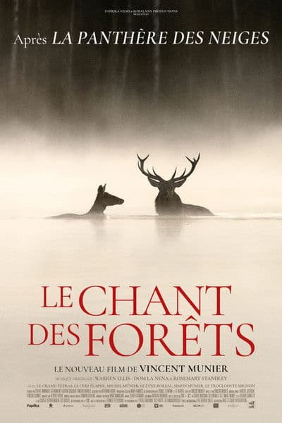 Le chant des forêts