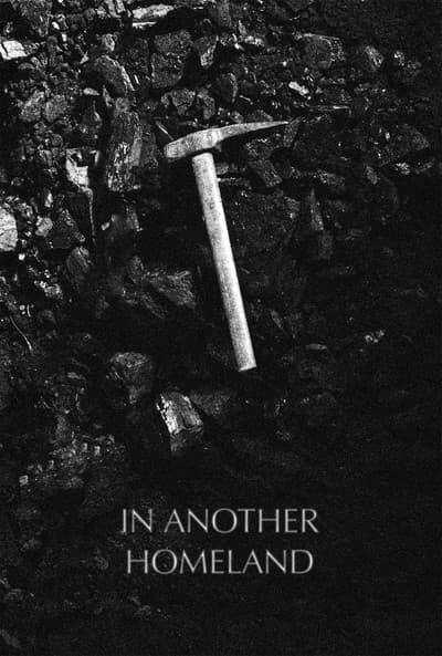 In een ander vaderland