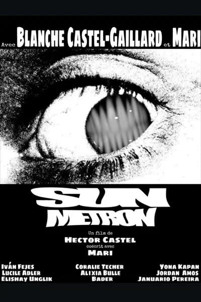Sun Metron