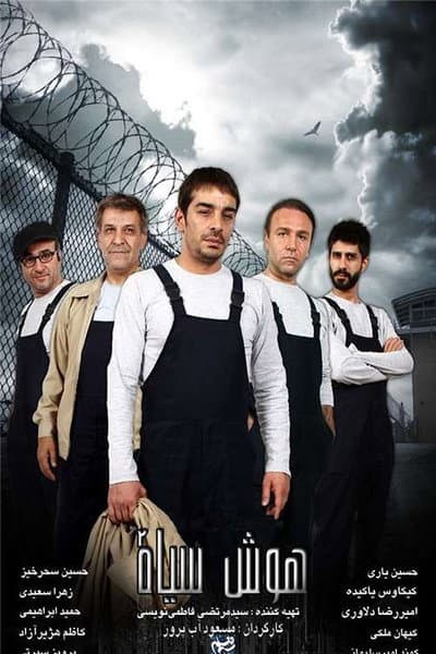 هوش سیاه